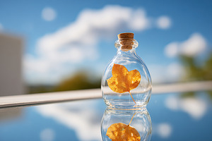 Transparent bottle with golden leaf against blue sky and clouds in garden setti, a Photo by AlyaAnd