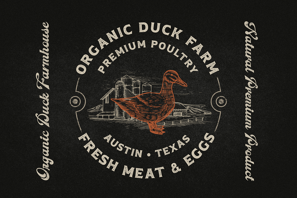 Butcher's Daughter, a Script Font by Larin Type Co. (Photo 8 of 15)