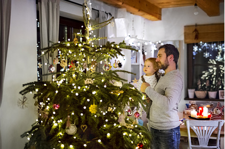 Father showing christmas tree to, a Holiday Photo by HalfPoint