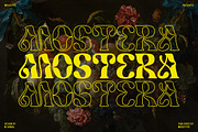 Mostera, a Serif Font by Megatype (Thumbnail 1 of 15)