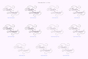 Studio Nomad // Script Family, a Script Font by PeachCreme (Thumbnail 21 of 23)