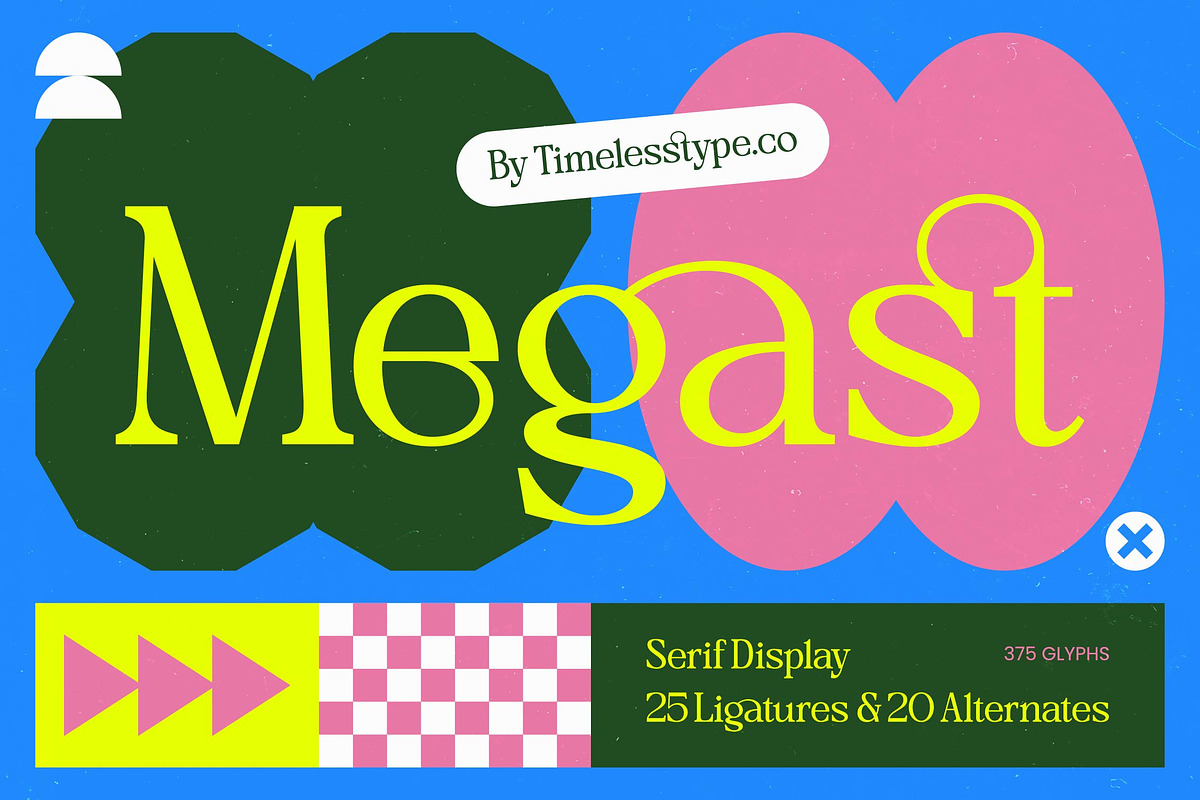 Megast Modern Serif Display, a Serif Font by timelesstype.co (Photo 1 of 10)