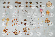 WINTER PLANTS | Scene Creator, a Product Mockup by bariskina (Thumbnail 5 of 5)