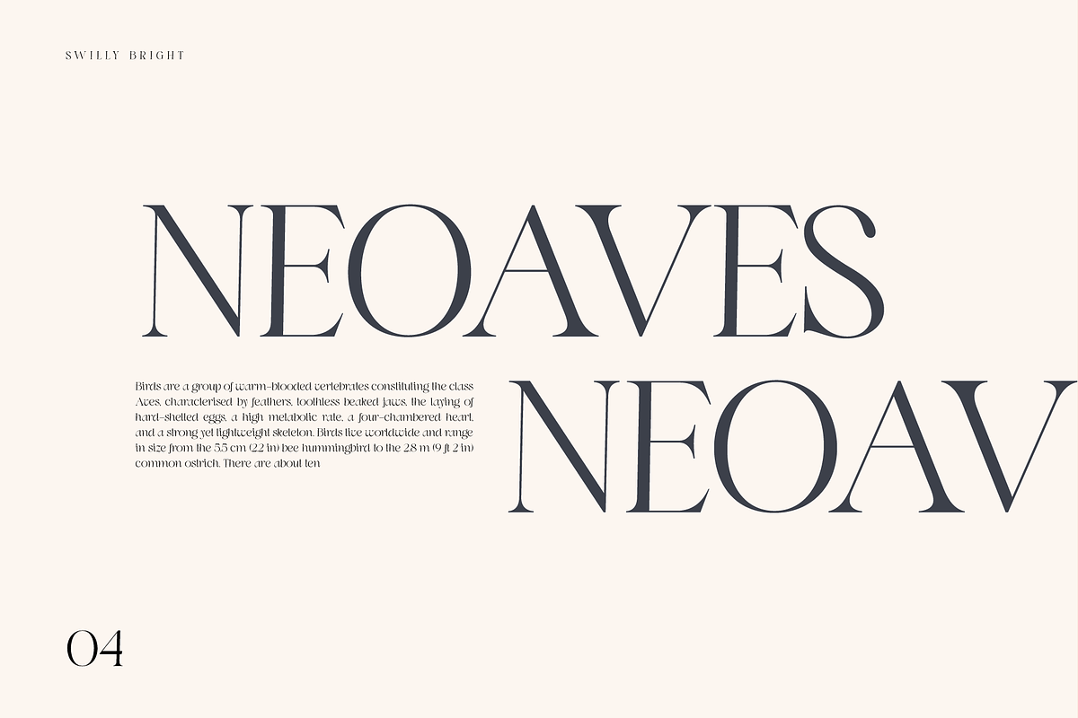 Swily Bright | Classy Font, a Serif Font by Jolicia Type (Photo 5 of 11)