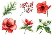 Festive Florals & Pinecones Clipart, an Illustration by Daily.Designs (Thumbnail 5 of 5)