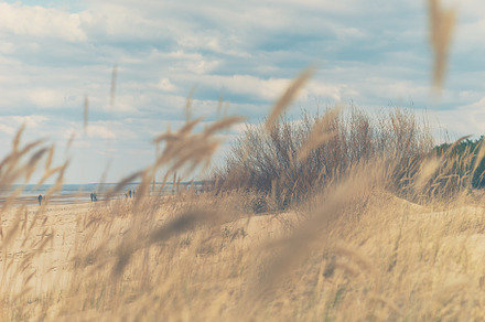 Walk on the beach of the Baltic Sea, a Nature Photo by VictorGrow