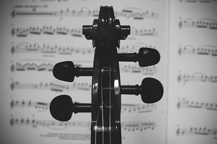 Violin and sheet music, an Arts & Entertainment Photo by Stacie Design