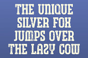 CS Bargent Stamp, a Slab Serif Font by Craft Supply Co. (Thumbnail 5 of 8)