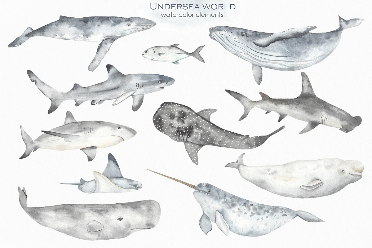 Undersea world Watercolor, an Animal Illustration by Marina Ermakova (Photo 2 of 12)
