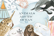 Animals of the Arctic Ocean, an Illustration by Love Watercolor Store (Thumbnail 1 of 8)