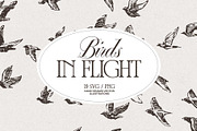 Sketch-Style Bird Flock Vector Set, an Animal Illustration by TheMountBirdStudio (Thumbnail 1 of 11)