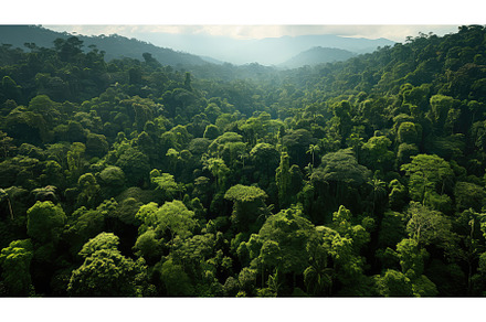 view beauty environment green, a Nature Photo by pikepicture