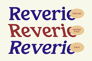 CS Bison – Retro Font, a Serif Font by Craft Supply Co. (Thumbnail 3 of 8)