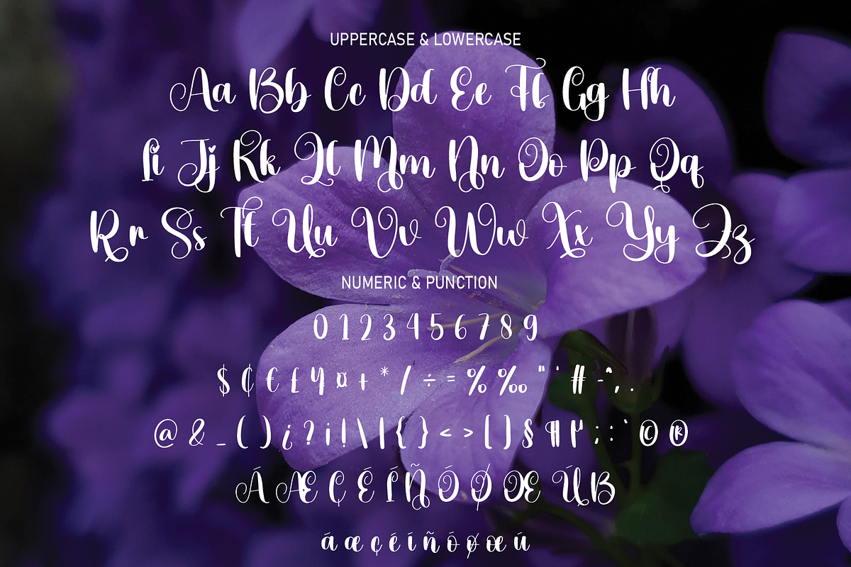 Violet | Script Font, a Script Font by Scratchones (Photo 5 of 8)