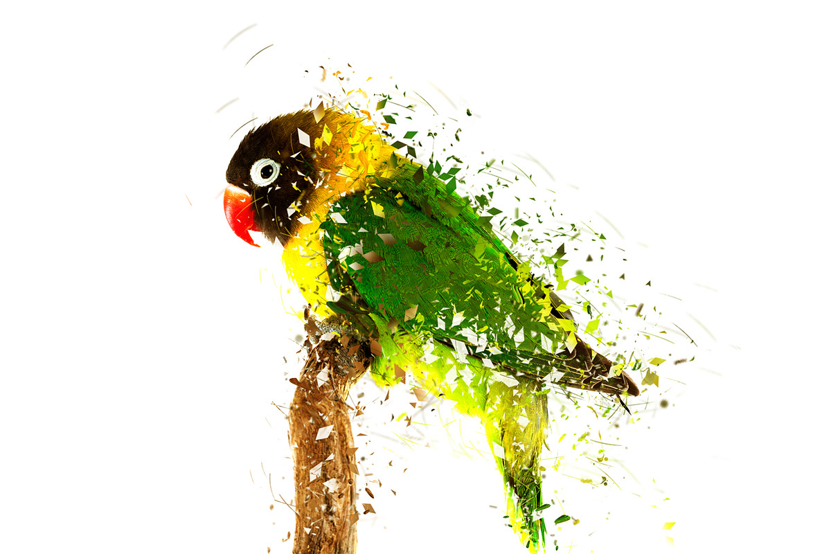 Blast Dispersion Photoshop Action, an Action Add-On by MRI STUDIO (Photo 11 of 14)