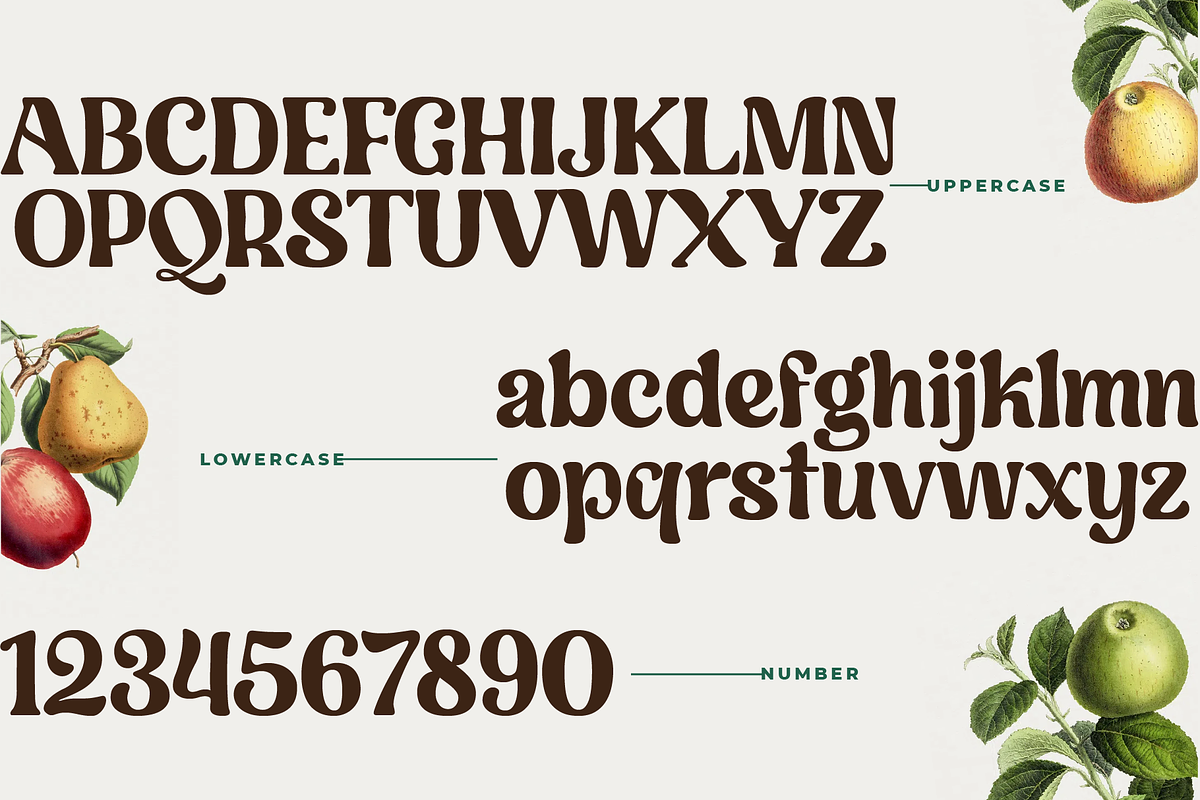 Royal Avenue Display Serif Font, a Serif Font by Prestigetype (Photo 8 of 16)