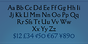 Whystor, a Serif Font by Andreas Stötzner (Thumbnail 7 of 11)
