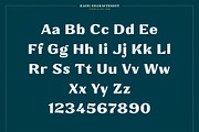 XXII Elissa, a Serif Font by Doubletwo Studios (Thumbnail 17 of 25)