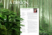 Marketing Resume Template Word, a Resume Template by Career Canvas (Thumbnail 6 of 11)