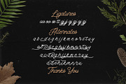 The Banten - Monoline Script Font, a Script Font by StringLabs (Thumbnail 12 of 12)