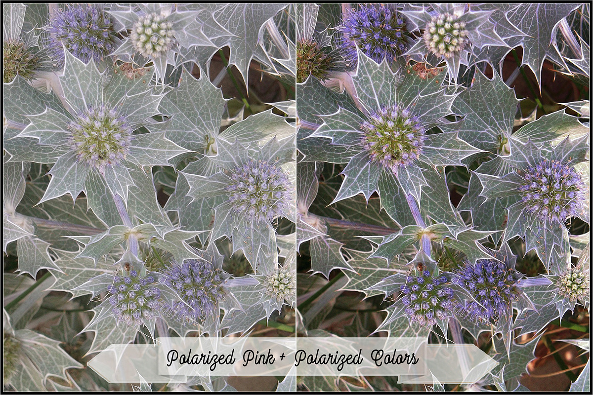 Polarizers By Colors Actions preview 4