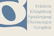 Cadera Serif | 162 Font Files, a Serif Font by Ws Studio (Thumbnail 5 of 12)