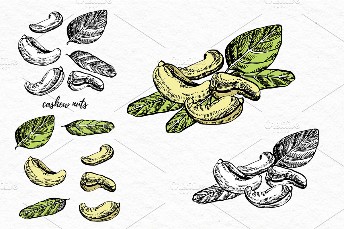 Nuts and snacks, a Food Illustration by Ann Astro (Photo 14 of 24)