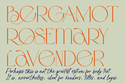 Karme // Modern Font Duo, a Serif Font by PeachCreme (Thumbnail 9 of 13)