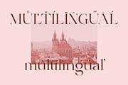 Adeston, a Serif Font by Sealoung (Thumbnail 6 of 11)