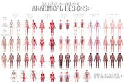 Watercolor anatomical body charts, a Healthcare Illustration by Ekaterina Glazkova (Thumbnail 8 of 8)