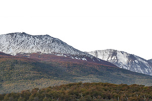 Snowy mountains and forest patagonia landscape isolated photo, a Nature Photo by DanFLCreativo