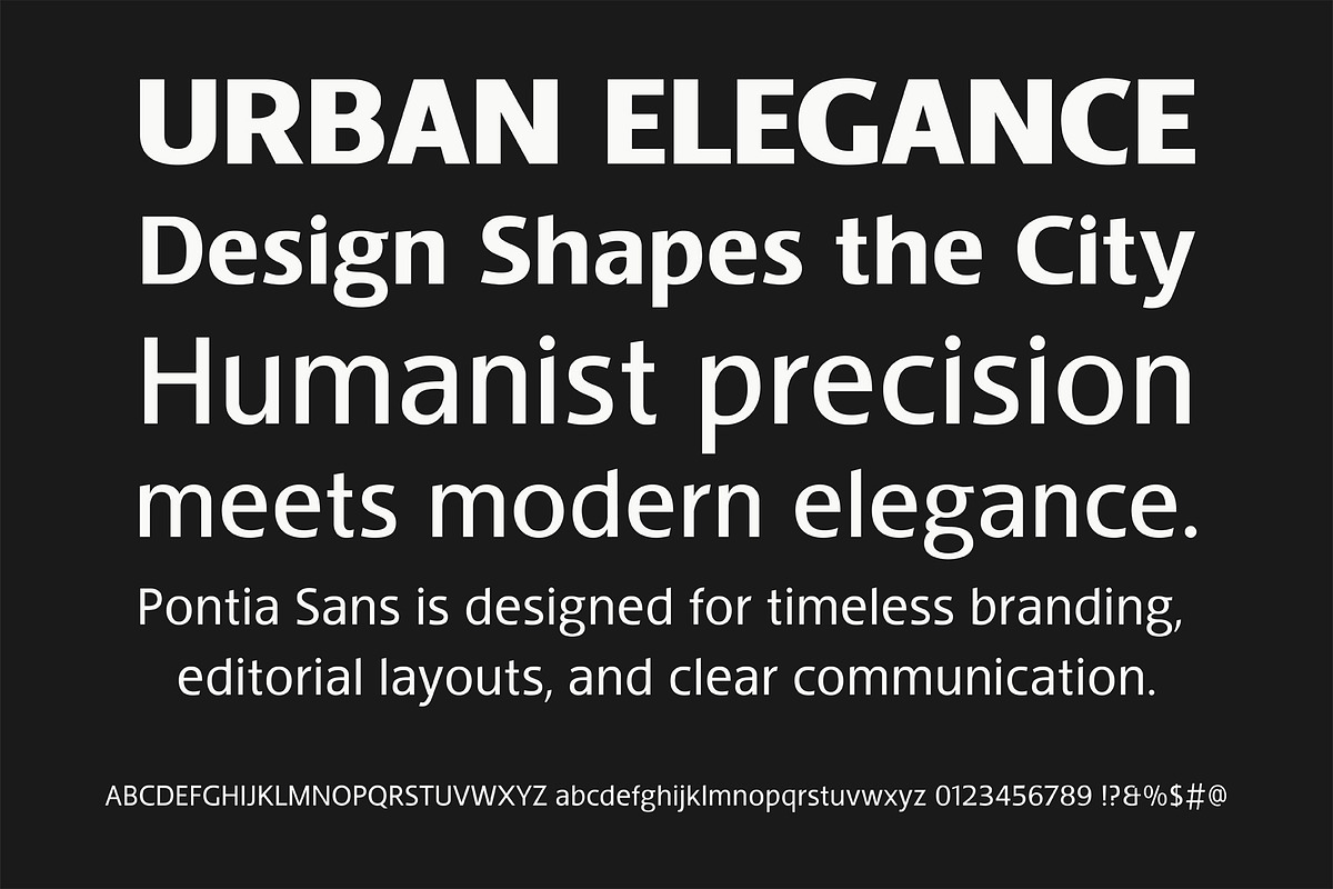Pontia Sans Font Family, a Sans Serif Font by Bart Wesolek (Photo 3 of 11)