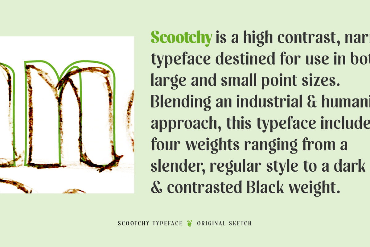 Scootchy, a Sans Serif Font by Typogama (Photo 2 of 13)