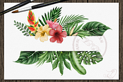 Tropical Big Pack Watercolor Clip, a Decorative Illustration by DioFlow (Thumbnail 3 of 26)