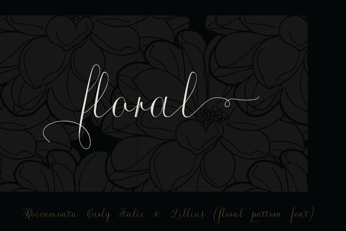 Roicamonta Curly Italic otf font preview 6