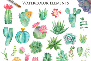 Succulents And Cacti. Watercolor.