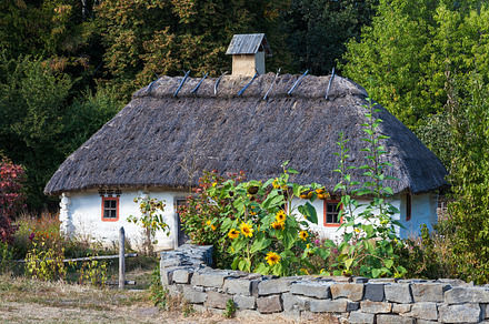Retro cottage with thatched roof, an Architecture Photo by chamillewhite