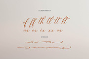 Celtaniya Bioffany Calligraphy, a Script Font by gracetype_studio (Thumbnail 12 of 14)