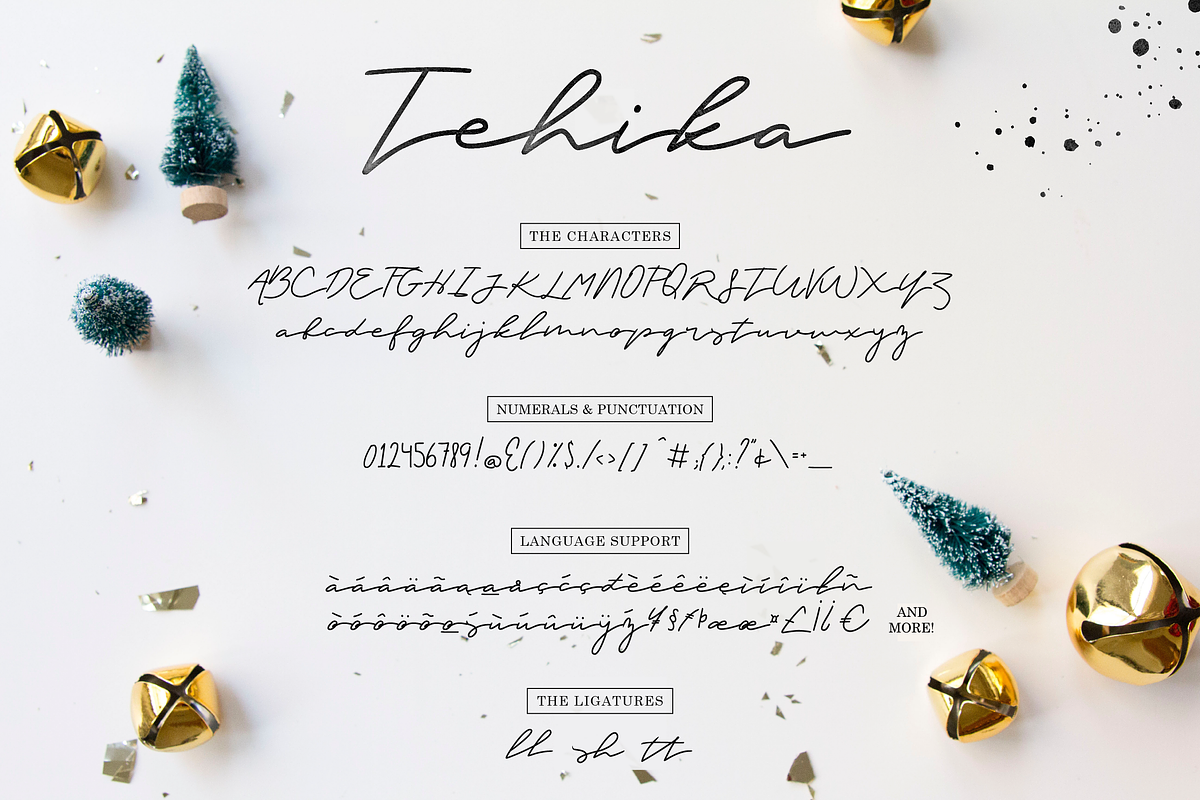 Premium Font Bundle, a Script Font by Flycatcher Design (Photo 73 of 140)