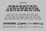 Starboy - Bold Display Font, a Serif Font by Shakira Studio (Thumbnail 18 of 18)
