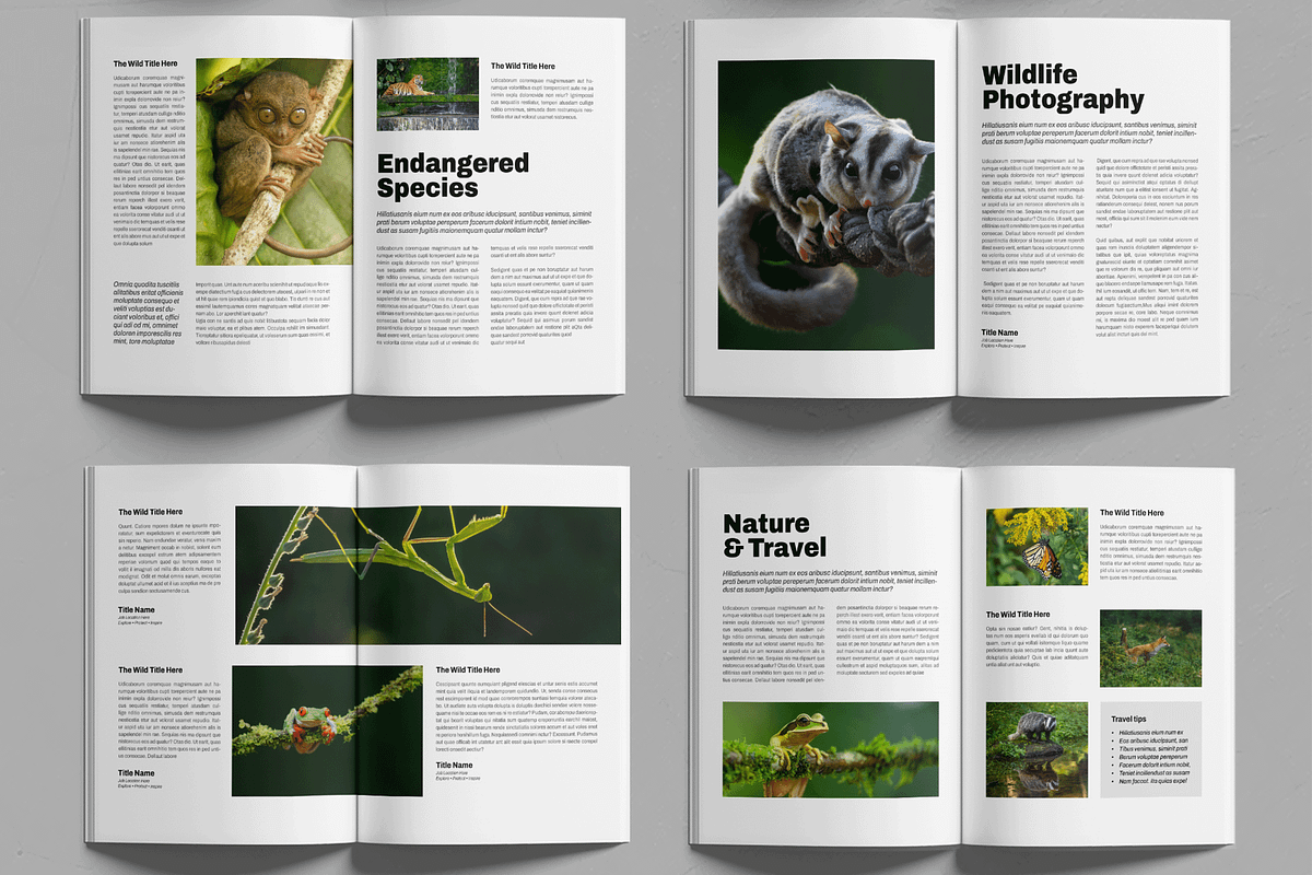 Wildlife Photography Magazine, a Magazine Template by MightyDesign (Photo 4 of 7)