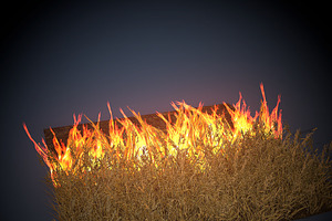 Burning Grass