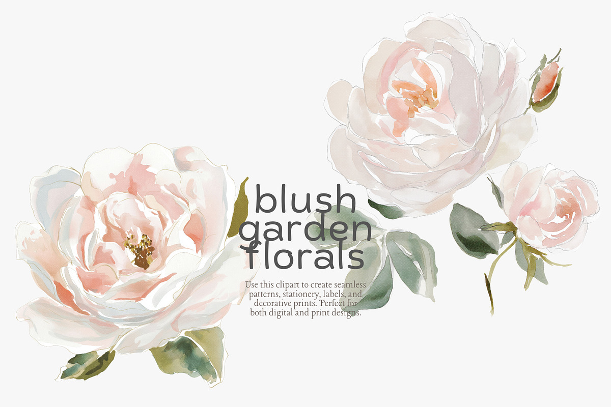 Blush floral clipart set, an Illustration by Patishop Art (Photo 4 of 8)
