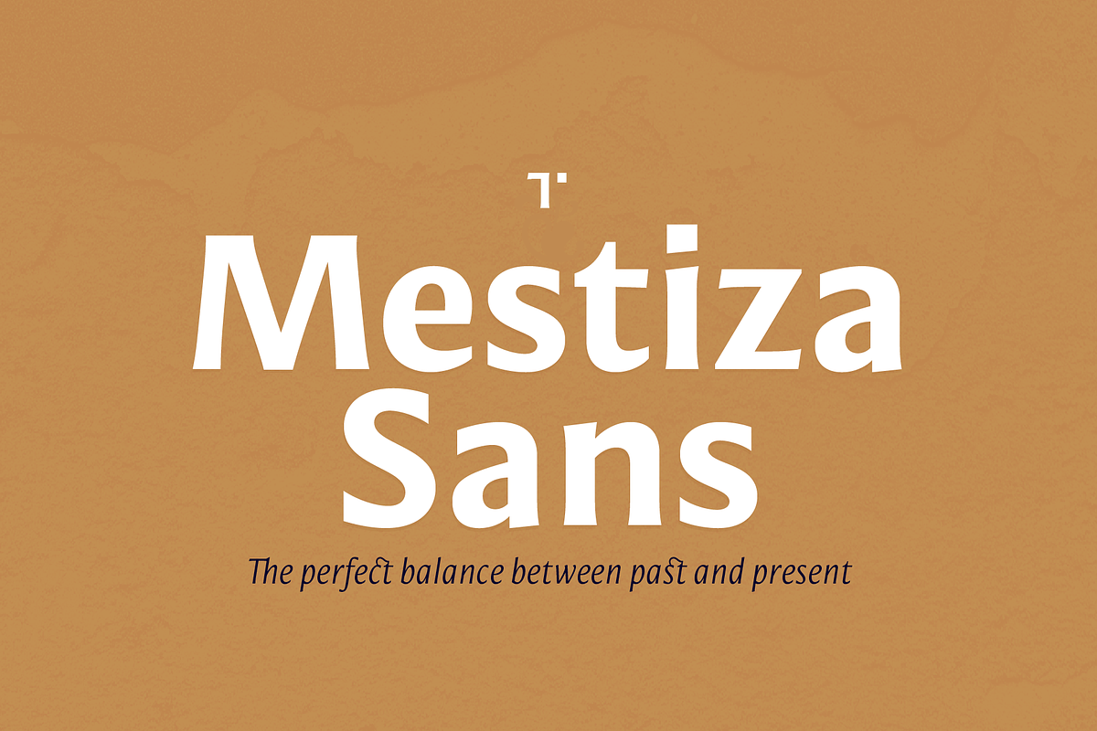 Mestiza Sans, a Sans Serif Font by Lechuga Type (Photo 1 of 19)