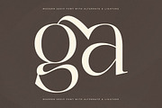 Adogare Modern Serif Font, a Serif Font by Storytype Studio (Thumbnail 5 of 15)