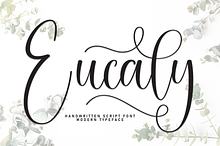 Eucaly | Script Font
