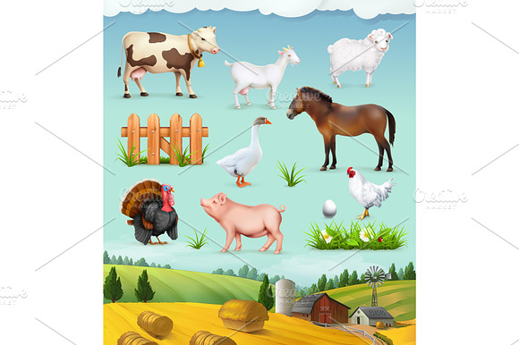 Farm pets, animals and birds, vector preview 5