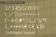 Aethelion - Serif Font, a Serif Font by Alpaprana (Thumbnail 10 of 11)