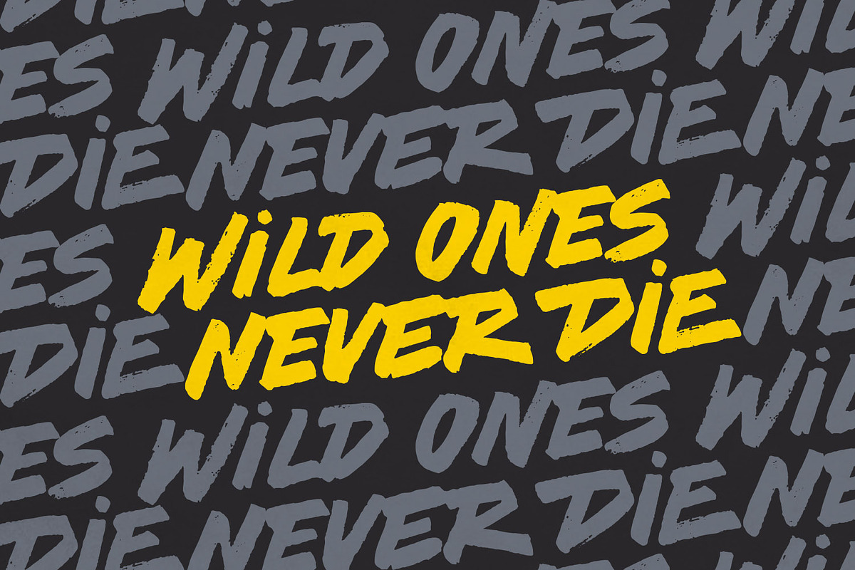 Rogue Legends - Brush Font, a Handwritten Font by Andrey Sharonov (Photo 20 of 21)
