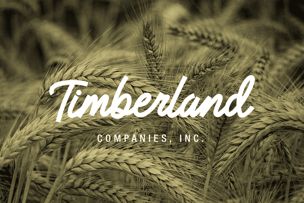 Sugar Crakers, a Script Font by Letteratom (Photo 3 of 8)